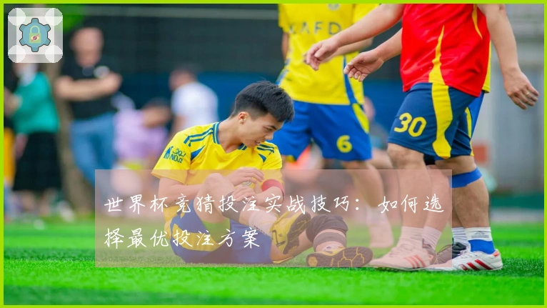 世界杯竞猜投注实战技巧：如何选择最优投注方案