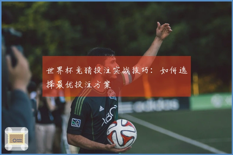 世界杯竞猜投注实战技巧：如何选择最优投注方案