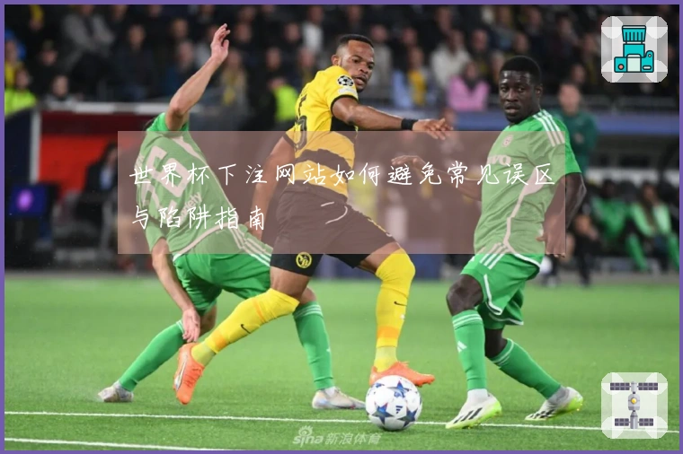 世界杯下注网站如何避免常见误区与陷阱指南