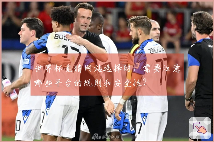 世界杯竞猜网站选择时，需要注意哪些平台的规则和安全性？